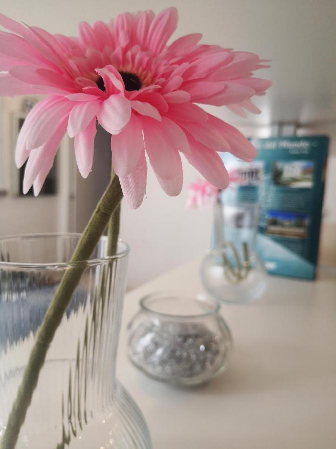 Apartamento Rosa Puerta Del Sol Apartment Madrid Luaran gambar